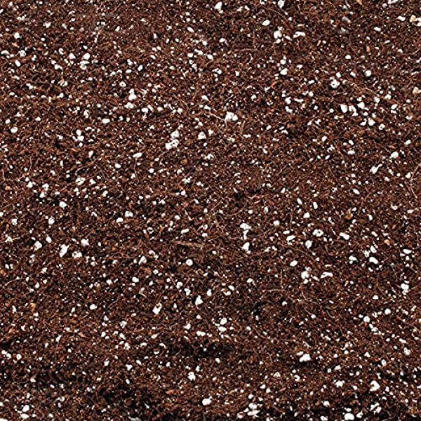 Premium Graded Coir - Bulk Bag