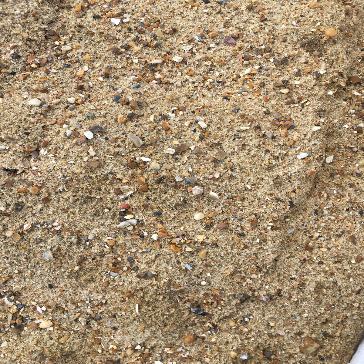 Sharp Sand - Bulk Bag