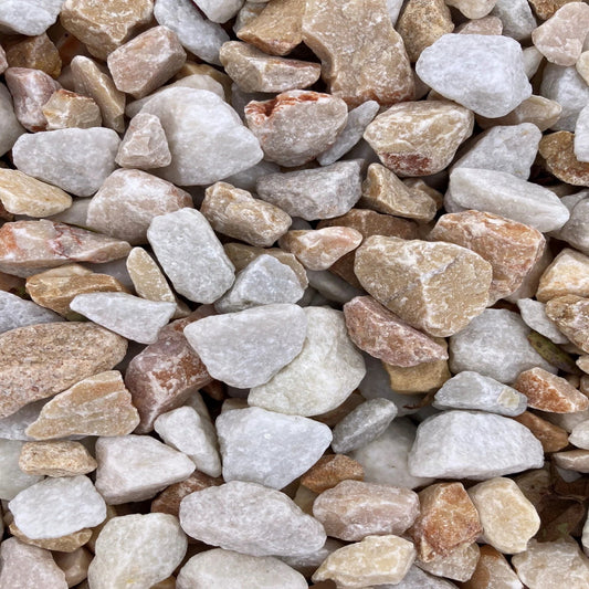 Winter Rose 20mm - Bulk Bag