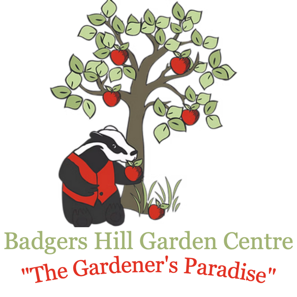 Badgers Hill Garden Centre